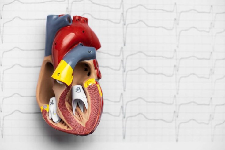 A Practical Guide to Prevent Atrial Fibrillation